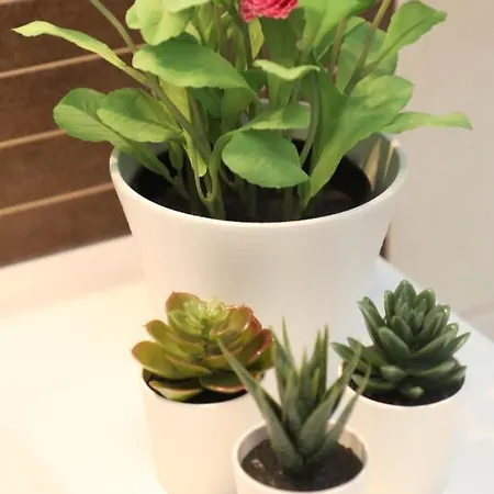 別荘 Vacacional Salnes Sur Con Piscina *