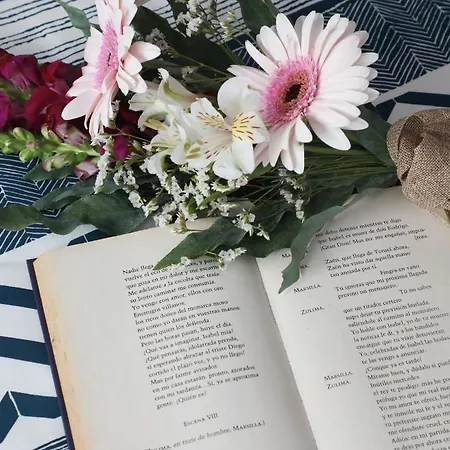 Vacacional Salnes Sur Con Piscina *