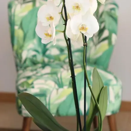 Vacacional Salnes Sur Con Piscina * カンバードス