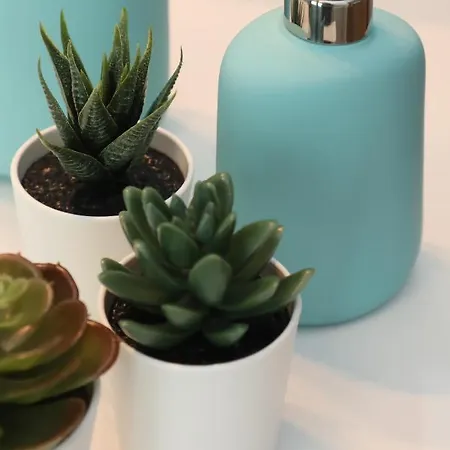 Vacacional Salnes Sur Con Piscina *