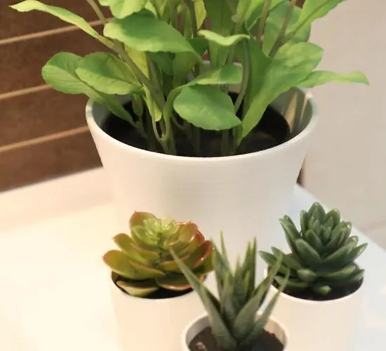 펜션 Vacacional Salnes Sur Con Piscina *