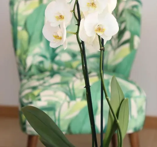 Vacacional Salnes Sur Con Piscina * 캄바도스