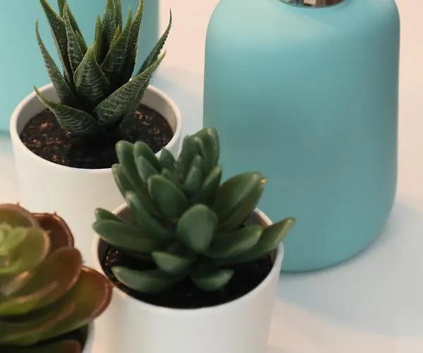 Vacacional Salnes Sur Con Piscina *